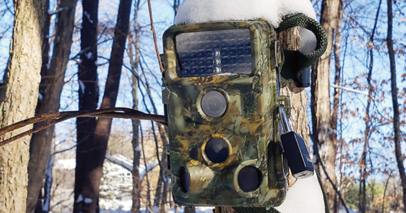 Rubenē nozog meža kameru