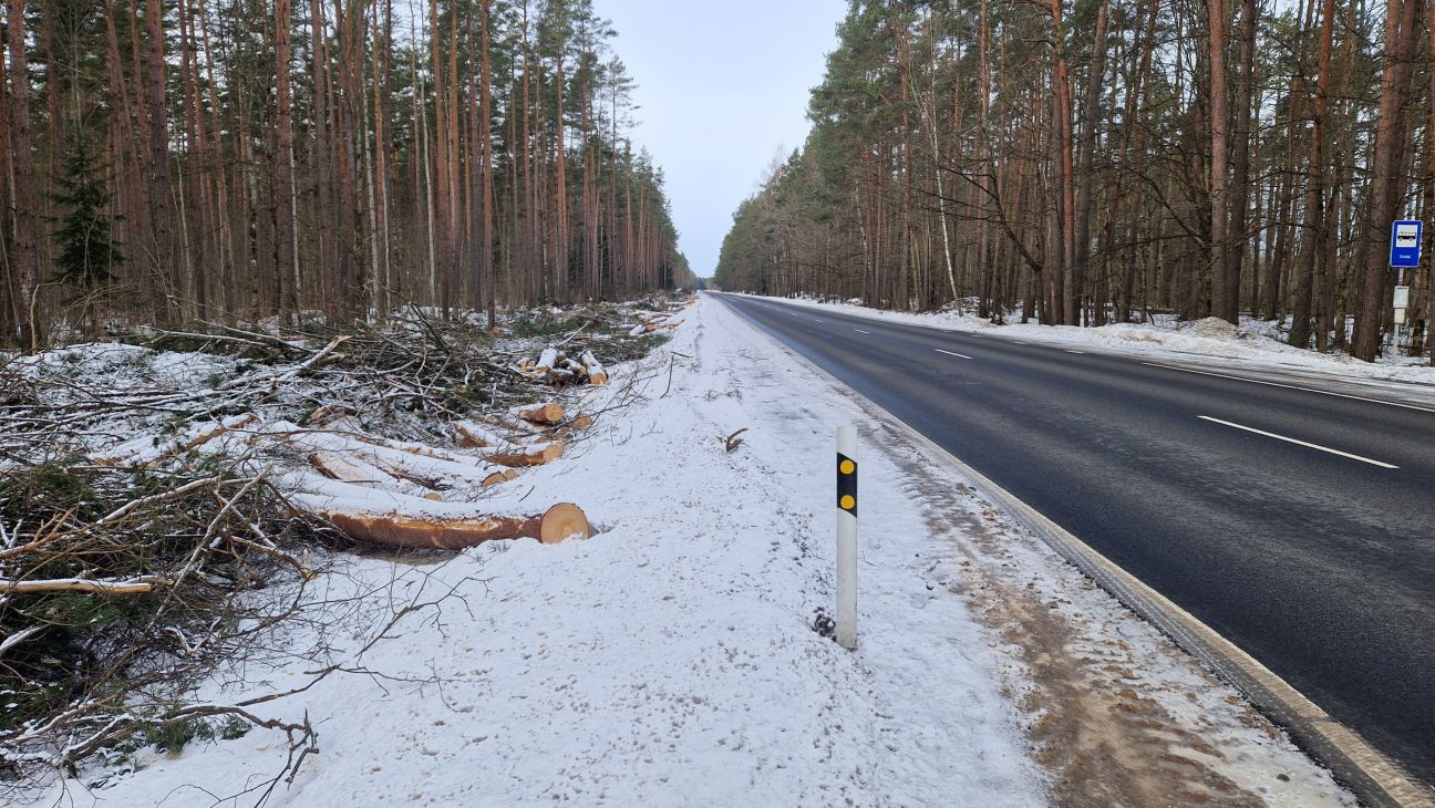 Uzsākti sagatavošanās darbi veloceliņa izbūvei no Salas līdz Jēkabpilij