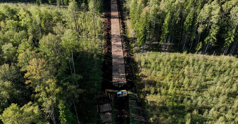 &ldquo;Latvijas valsts meži&rdquo; Viesītes iecirknī izbūvēts jauns meža autoceļ&scaron;