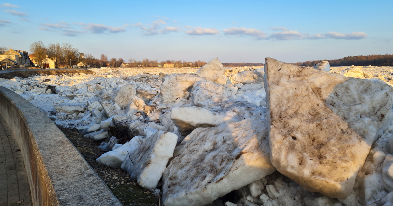 Pļaviņās cilvēks staigā pa Daugavas vižņiem