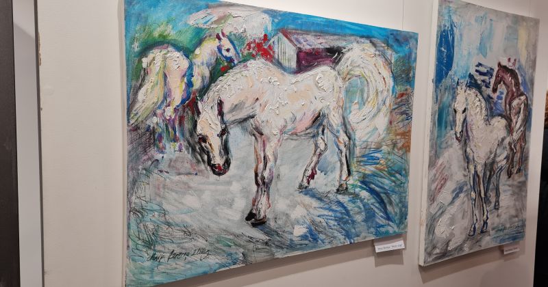 Līvānos atklāj Maijas un Zanes Bērziņu gleznu izstādi &ldquo;Saulainā&rdquo;