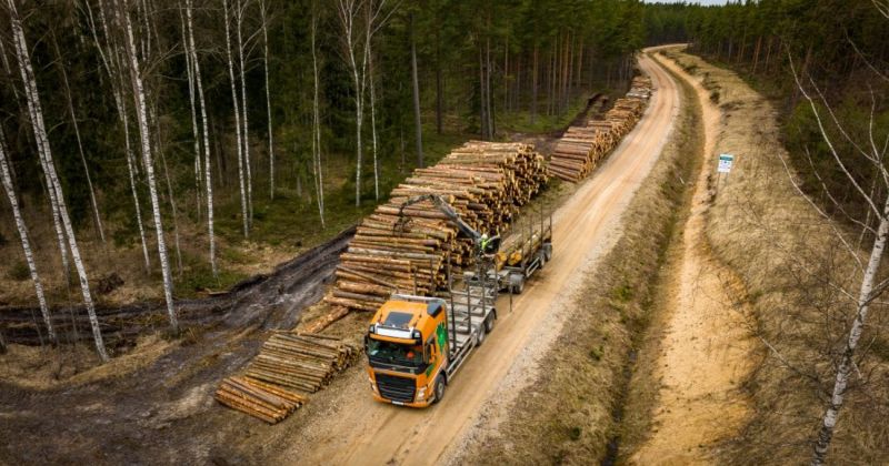 Sākti meža ceļu pārbūves darbi Asares pagastā