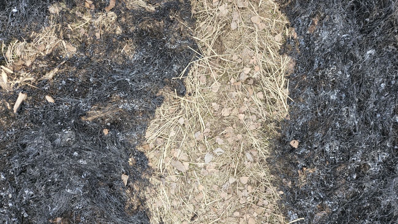 Jēkabpils novadā dzēsti četri kūlas ugunsgrēki