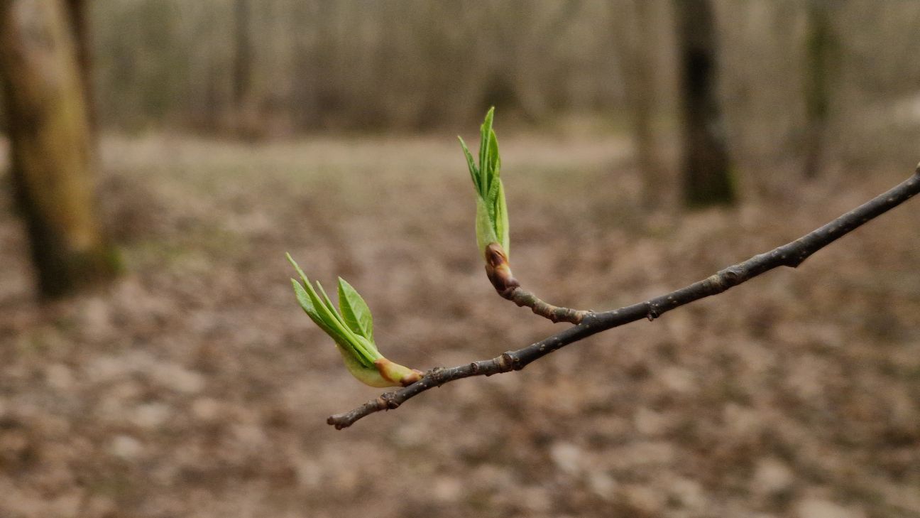 Jēkabpilī labots mēneša siltuma rekords