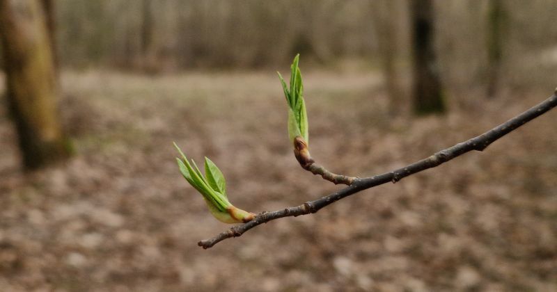 Jēkabpilī labots mēne&scaron;a siltuma rekords