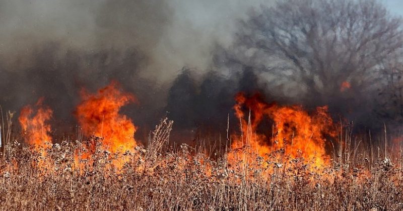 Lieldienu brīvdienās Jēkabpils novadā 10 kūlas ugunsgrēki 