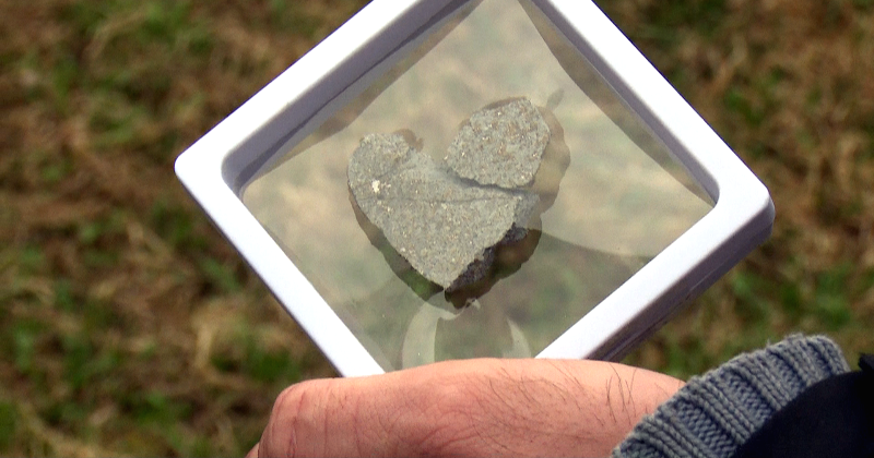 Notiek ekspedīcija uz Neretas meteorīta kri&scaron;anas vietām