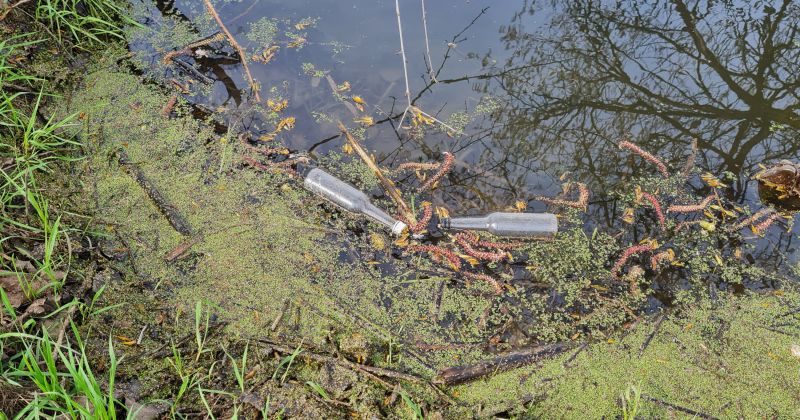 Jēkabpils novads aicina pieteikt Lielās Talkas vietas