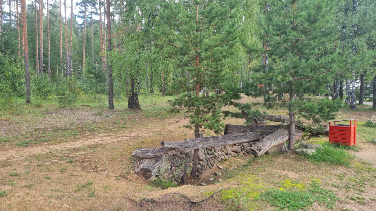 Piedalies pasākumā “Zaļā klase” Mežaparkā!