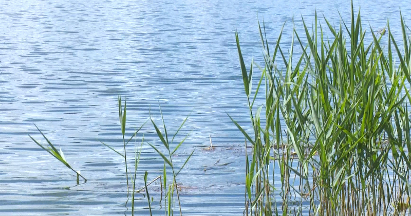 Radžu ūdenskrātuves peldvieta saņems kvalitātes sertifikātu &ndash; Zilo Karogu 