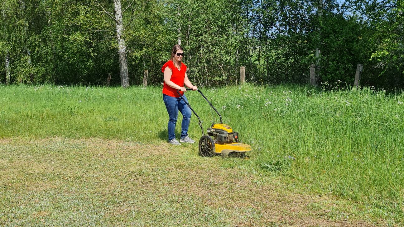  Līvānu novadā zāliena garums nedrīkst pārsniegt 20 centimetrus