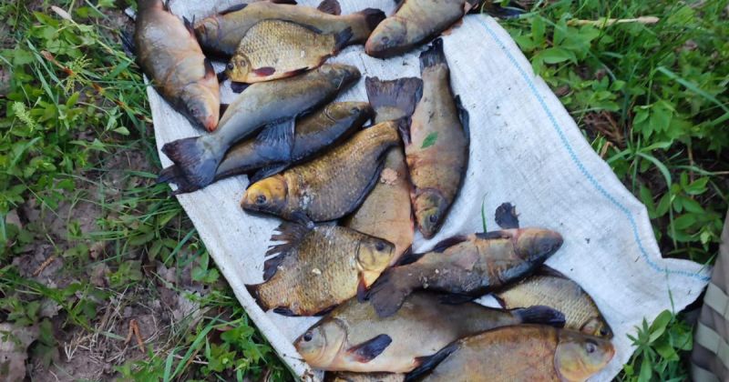 Varie&scaron;u pagastā pieķerti maluzvejnieki &ndash; konfiscēti zvejas tīkli 