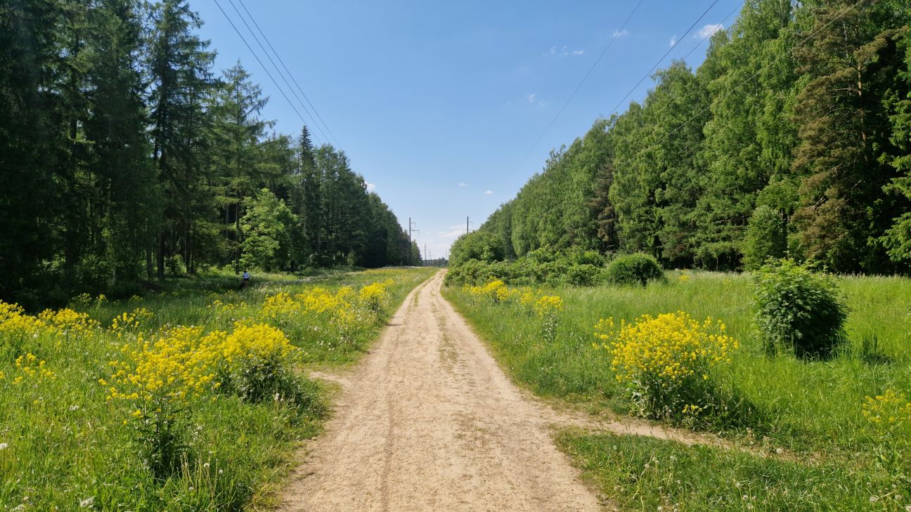 28.maijā būs ierobežota pārvietošanās Jēkabpils Mežaparkā