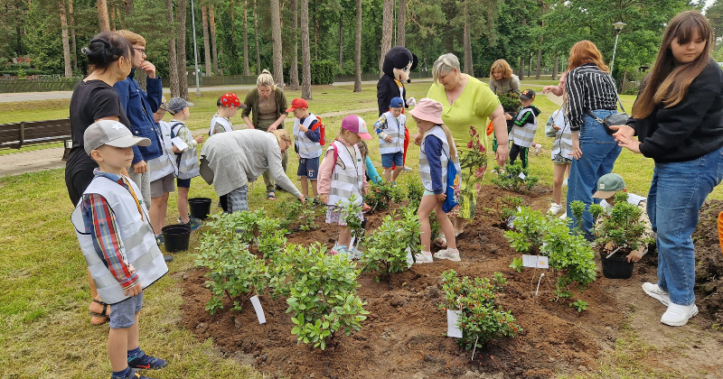 Līvānos &ldquo;Rūķī&scaron;i&rdquo; papildina rododendru dārzu