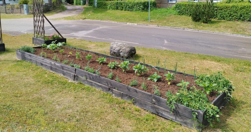 Viesītes mazpulcēni rosās urbānajā dārzā