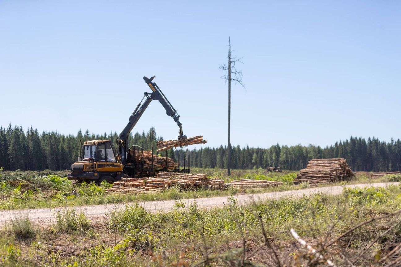 Notiek pirmie atmežošanas darbi poligona “Sēlija” izveidei