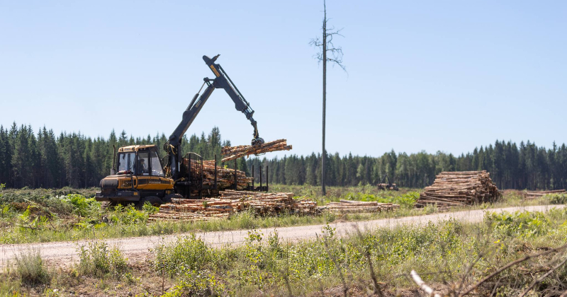 Notiek pirmie atmežo&scaron;anas darbi poligona &ldquo;Sēlija&rdquo; izveidei