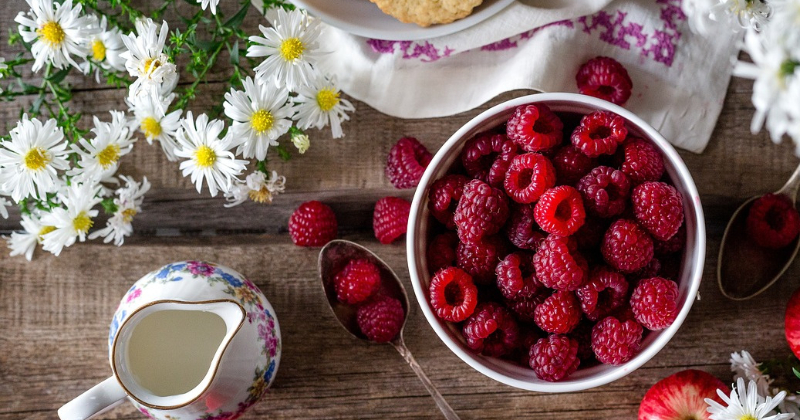 13. jūlijā Līvānu novadā durvis vērs Mājas kafejnīcas