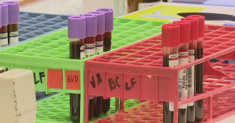 Latvijā akūti trūkst asiņu &ndash; 8. jūlijā kļūsti par donoru Jēkabpilī!