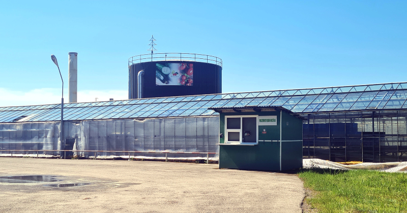 Rīko otro izsoli SIA &ldquo;Rītausma&rdquo; nekustamajam īpa&scaron;umam