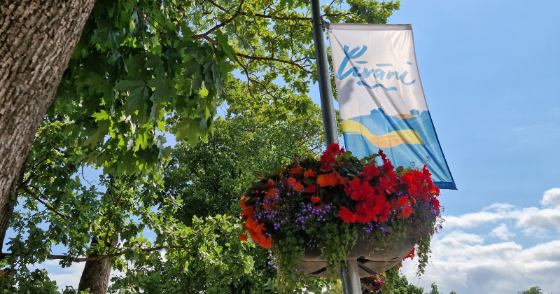 Kādas aktivitātes paredzētas Līvānu pilsētas svētkos?  (PROGRAMMA)