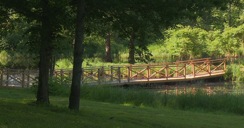 Amatnieki un mājražotāji var pieteikt dalību Zasas nakts tirgū