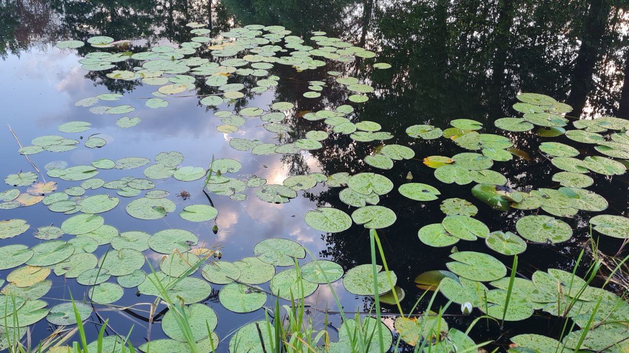 Pārcelta tikšanās ar pētniekiem, kuri informēs par Jēkabpils novada ūdenstilpēm