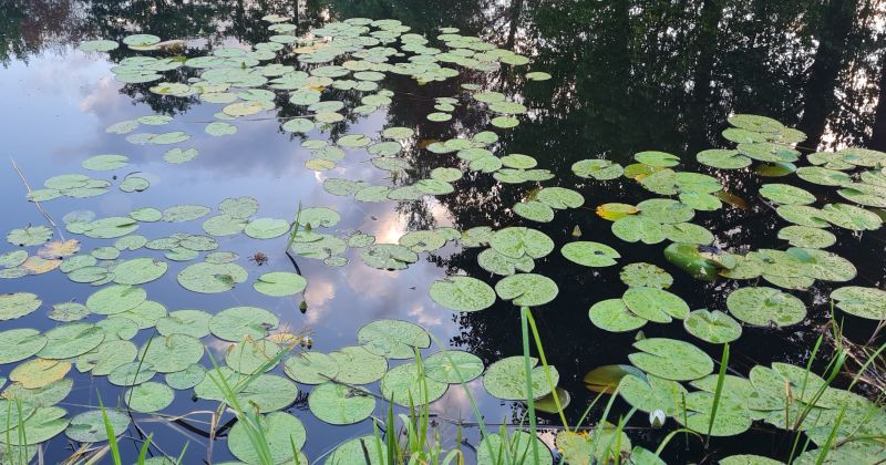 Pārcelta tik&scaron;anās ar pētniekiem, kuri informēs par Jēkabpils novada ūdenstilpēm