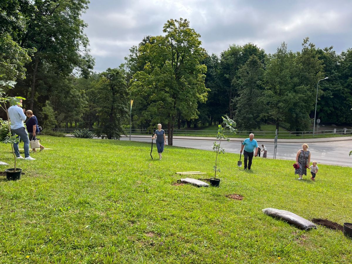 Aknīstes Sēļu parkā veido dekoratīvos stādījumus