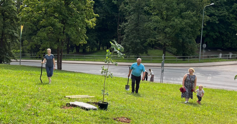 Aknīstes Sēļu parkā veido dekoratīvos stādījumus