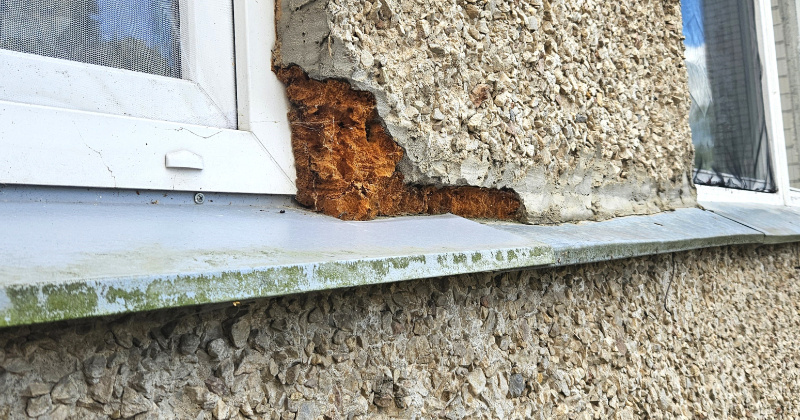 Neveicot logu apdari, cilvēki kaitē gan sev, gan kaimiņiem 