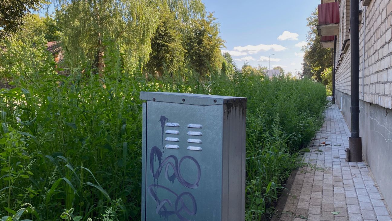 Tauta ziņo: Palejas ielā izauguši īsti džungļi