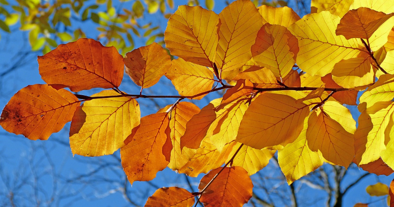 Nedēļas nogalē laiks kļūs saulaināks, nākamnedēļ &ndash; siltāks