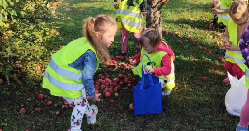 Viesītes bērnudārza bērni sagatavo 124 burciņas ābolu ievārījuma