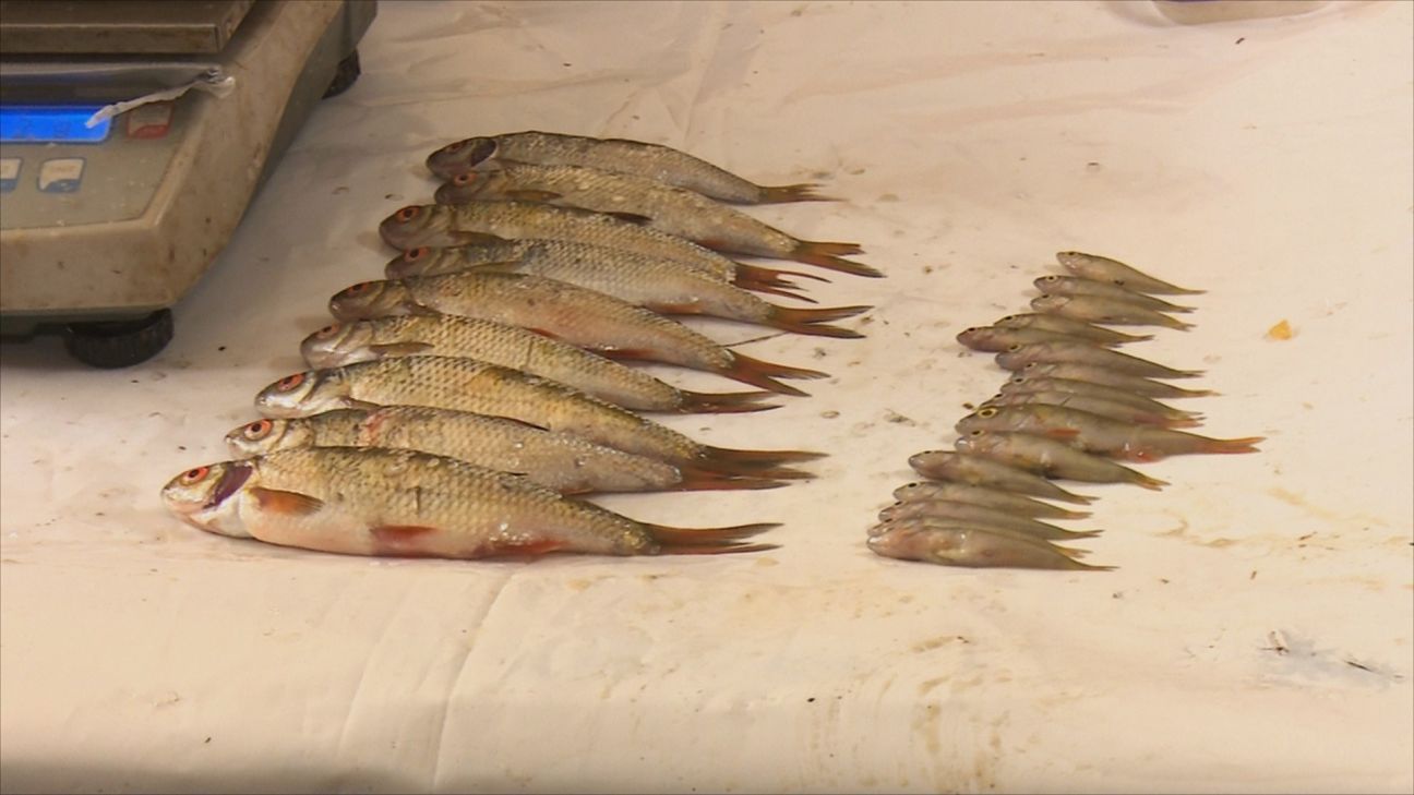 Šovasar veikta ūdenstilpju izpēte četrās Jēkabpils novada ūdenstilpēs