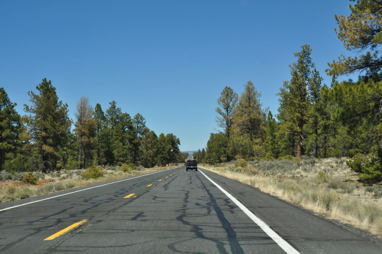 Benzīns, dīzelis, hibrīds vai elektroauto – ko izvēlēties?