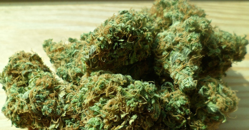 Policija apturējusi 11 personu veidotu narkotiku izplatī&scaron;anas tīklu