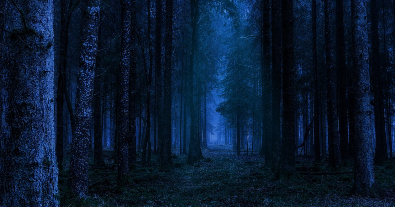 Halovīnos Mežaparks pārvērtīsies par Ēnu valstību