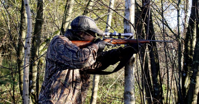 No 'Medņa' līdz galdam &ndash; bezmaksas seminārs medniekiem Jēkabpilī!