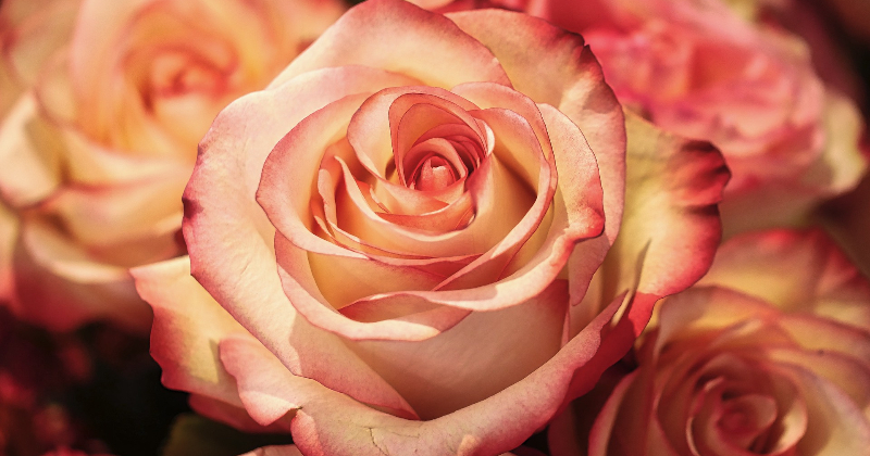 Līvānu novada pagastos suminās Pagodinā&scaron;anas rakstu saņēmējus