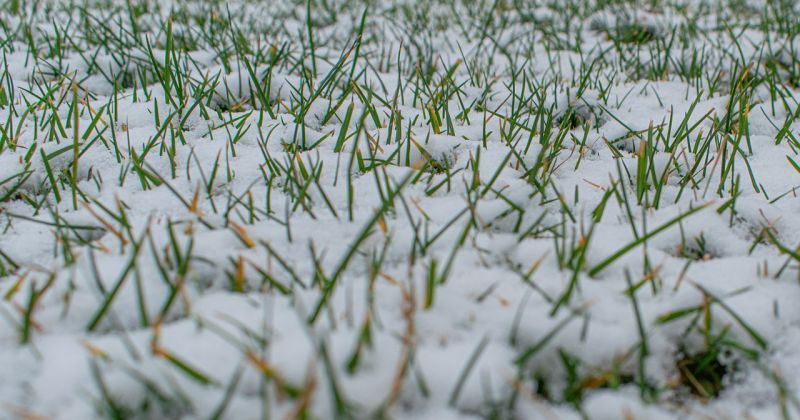 Nedēļas nogalē gaidāmi ziemīgi laika apstākļi