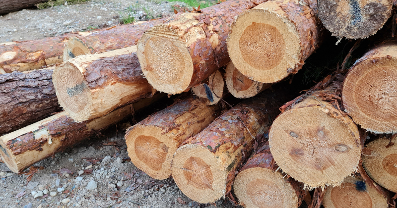 Jēkabpilī apgāžas kokmateriālu krava, bojājot ceļa zīmes un apgaismojumu