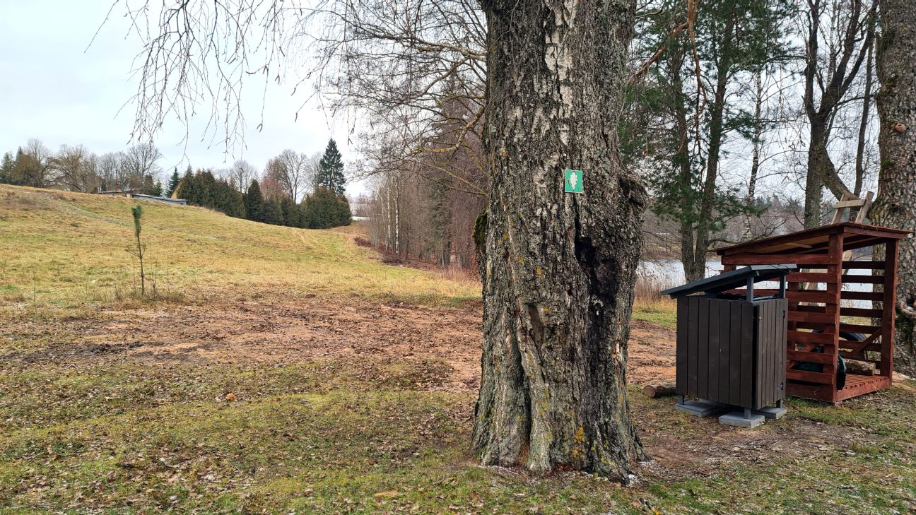 Aizsargājama koka dēļ noņemta nesen uzstādītā tualete pie Laukezera