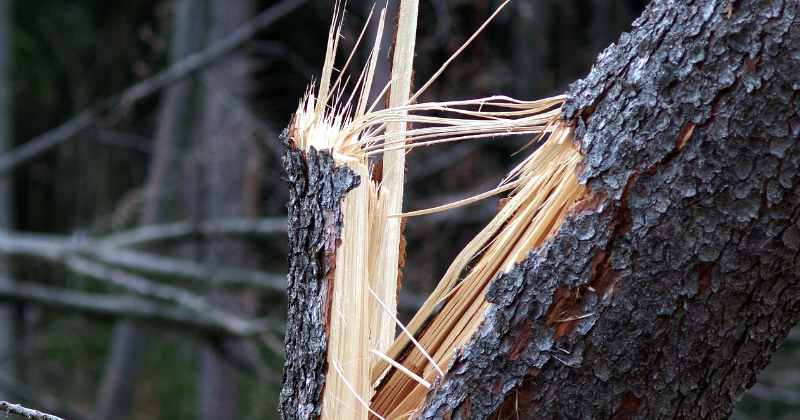 Vēj&scaron; rada postījumus Zemgalē