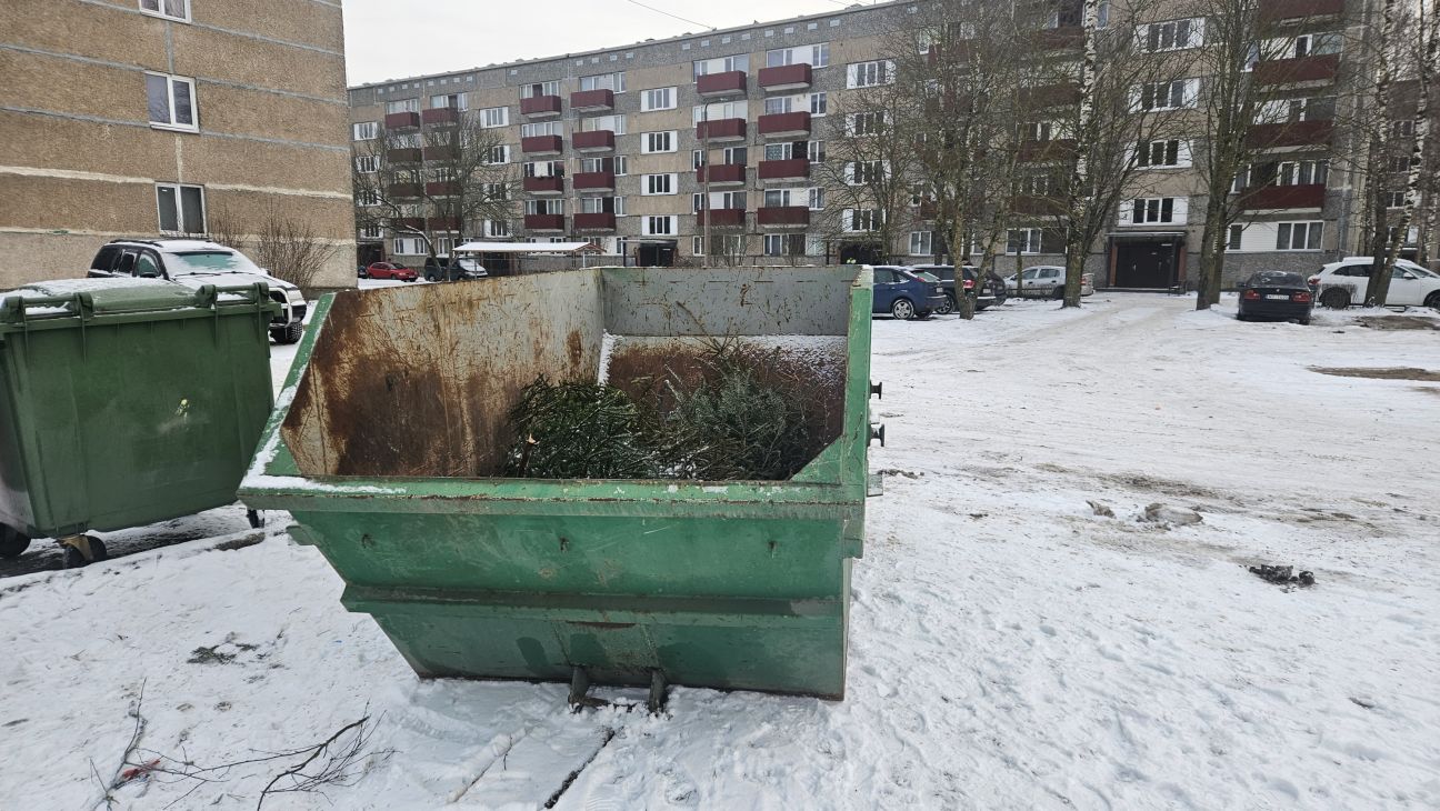 Jēkabpilī izvietoti Ziemassvētku eglēm domātie konteineri
