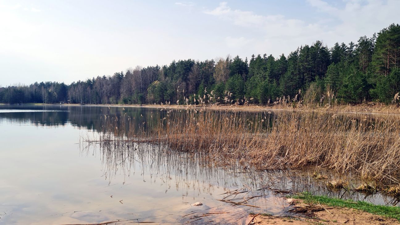 2024. gads Latvijā bijis viens no diviem siltākajiem novērojumu vēsturē