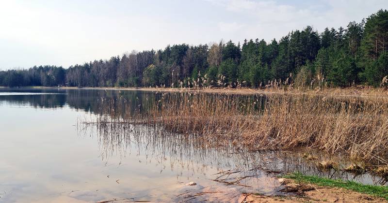 2024. gads Latvijā bijis viens no diviem siltākajiem novērojumu vēsturē