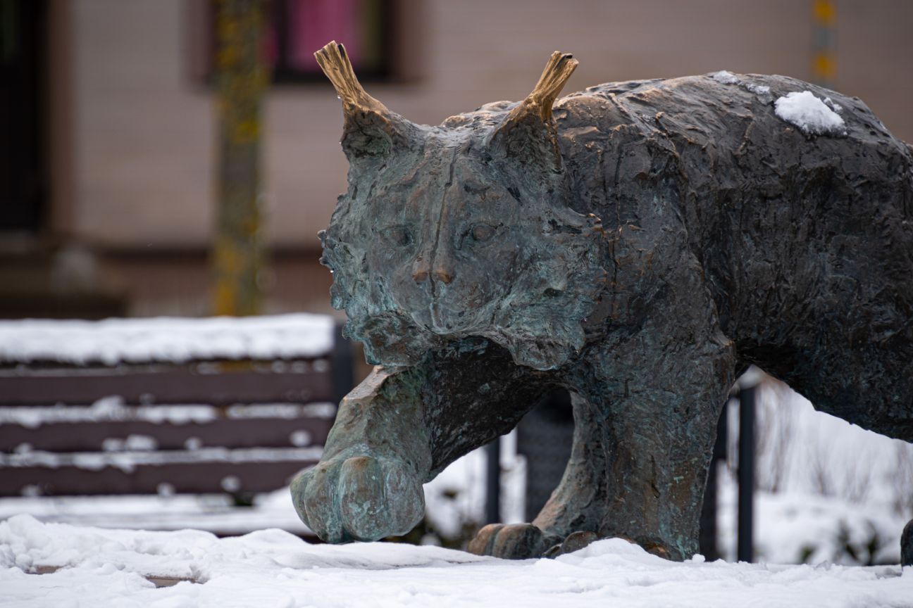 Jēkabpilī gatavojas pilsētas 355. jubilejai 
