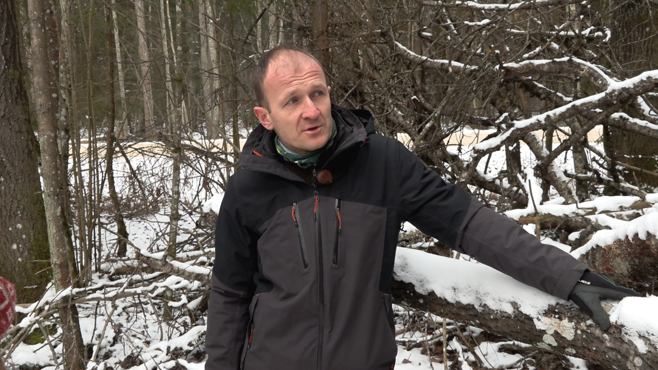 Vides eksperts Ābeļu pagastā atrod retu, īpaši aizsargājamu vaboli