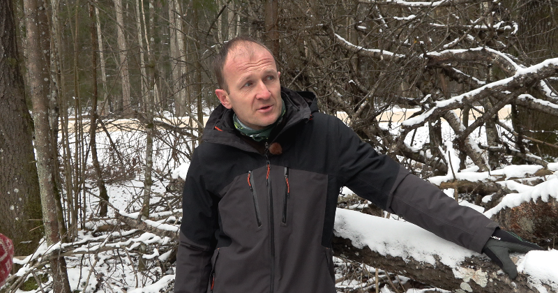 Vides eksperts Ābeļu pagastā atrod retu, īpa&scaron;i aizsargājamu vaboli